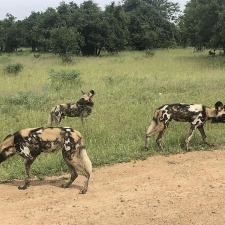 Mfuwe Marula Lodge מראה חיצוני תמונה
