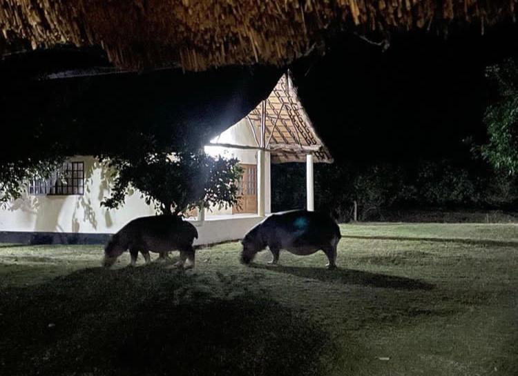 Mfuwe Marula Lodge מראה חיצוני תמונה